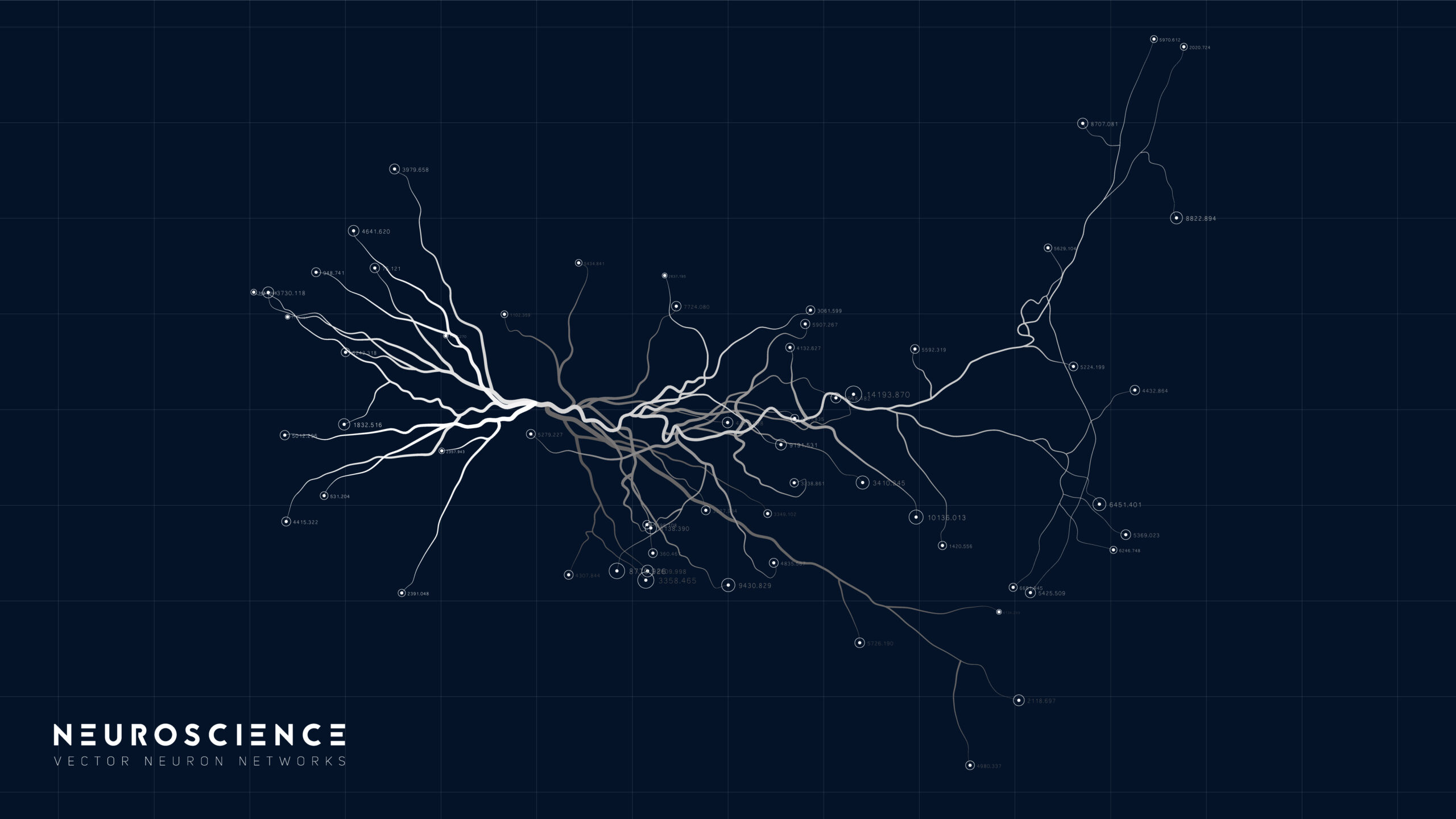 Model neuronového systému (ilustrační foto)